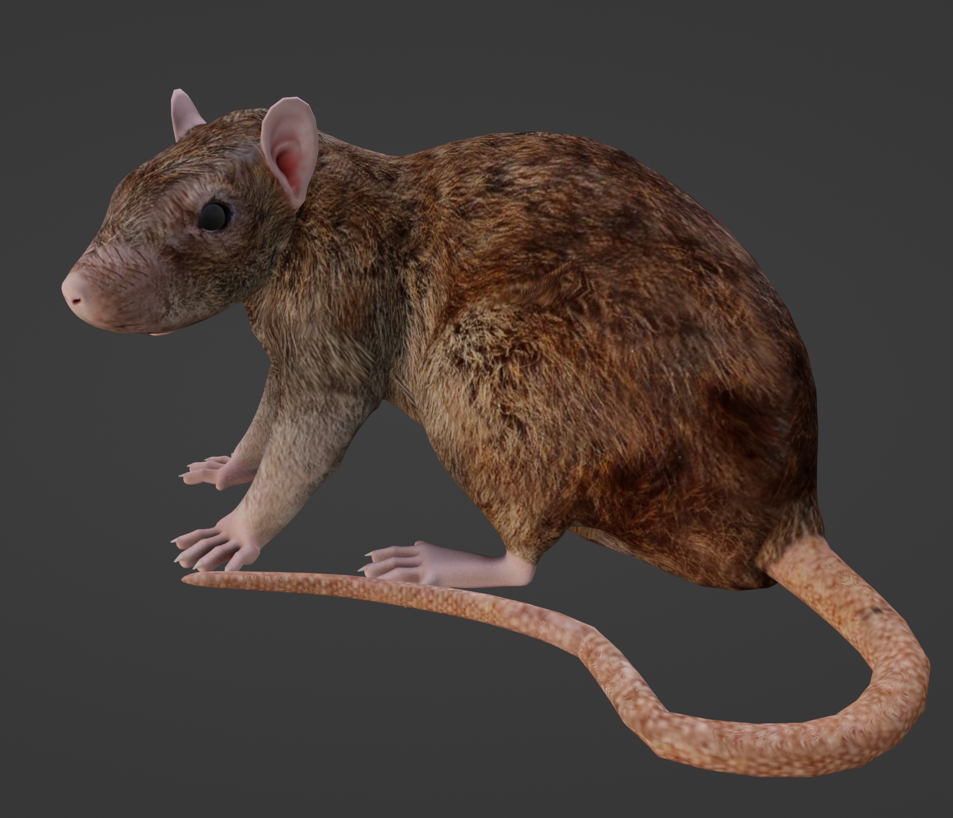 Rigged Rat preview image 1